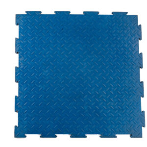 Blue Gym Mat